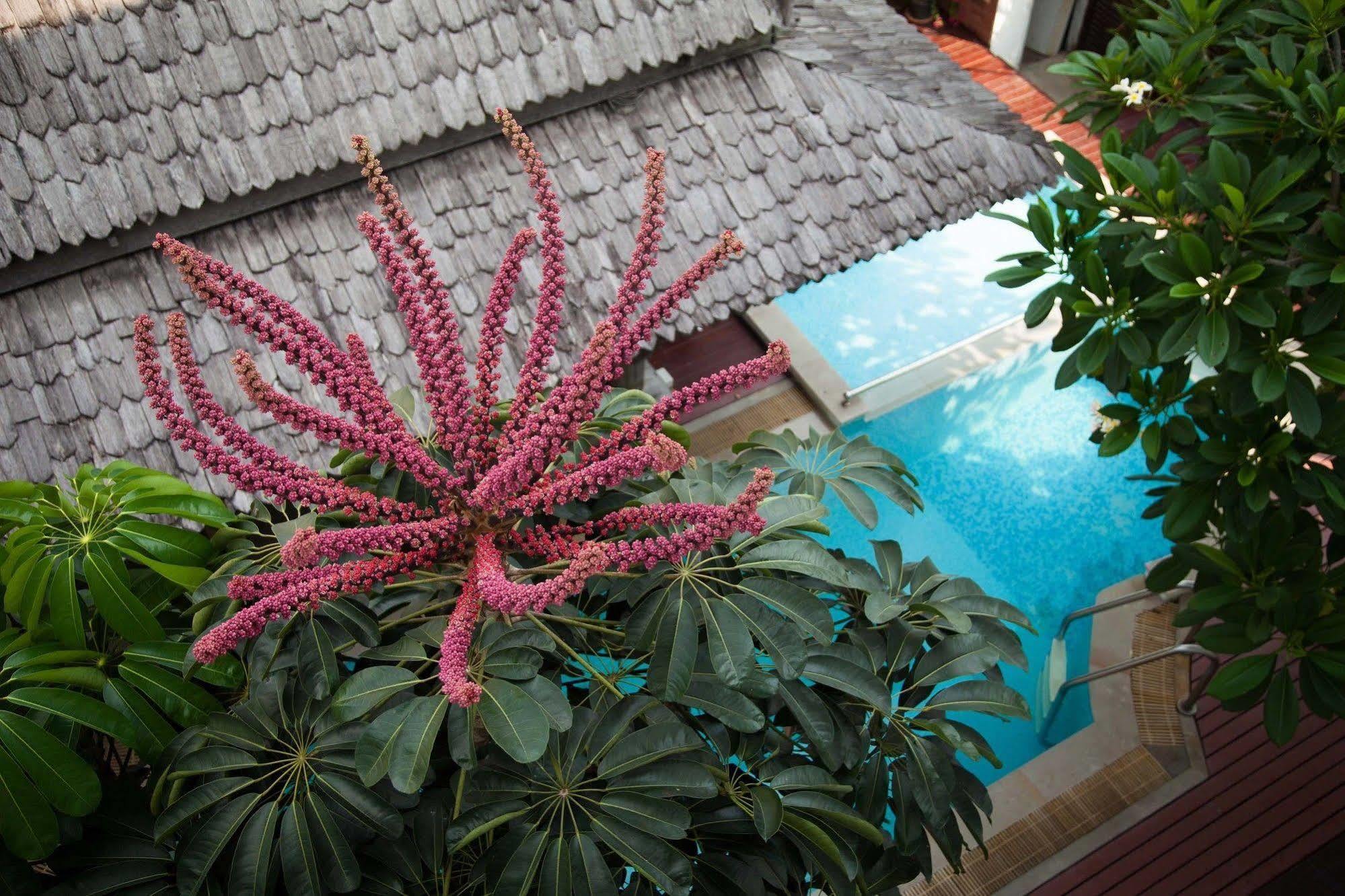 Charlie House Pin Klao Hotel Bangkok Exterior foto